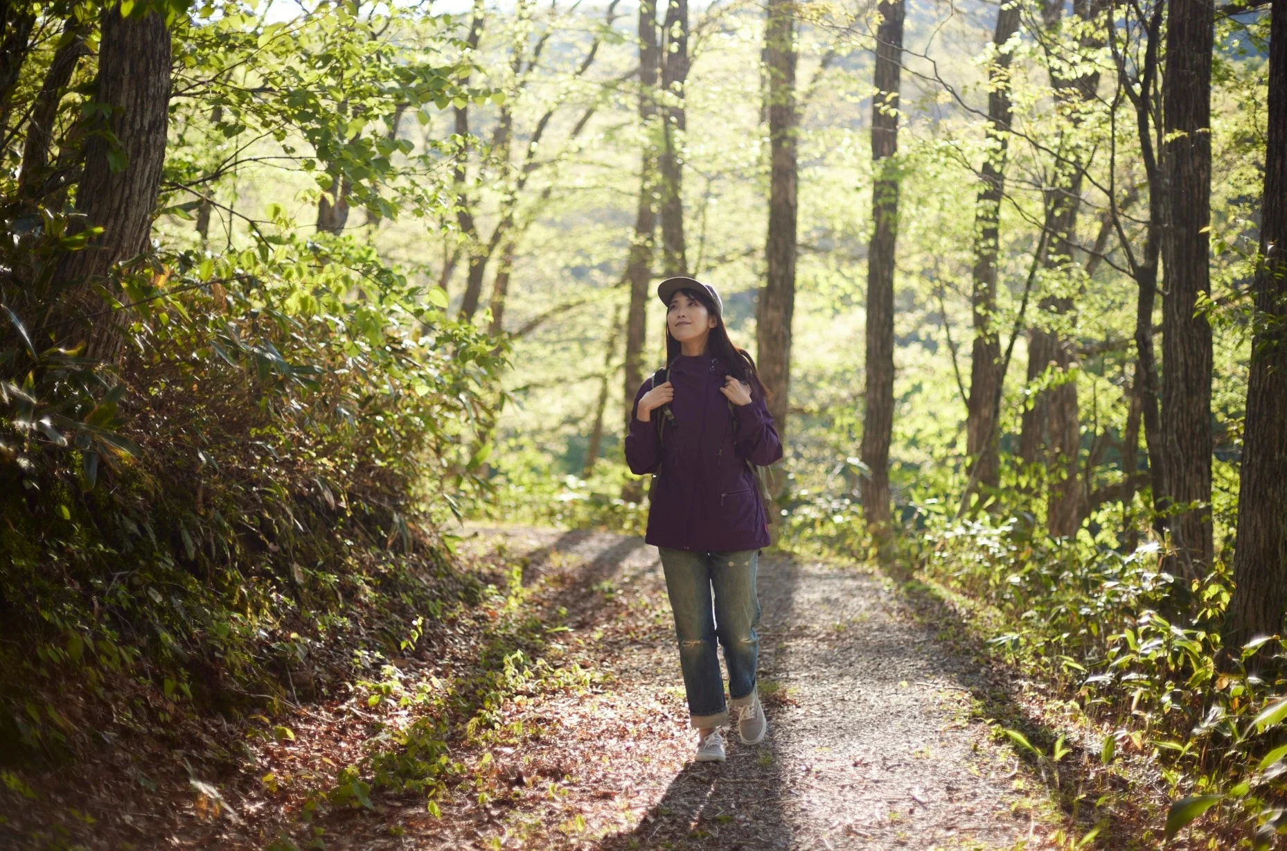 Screenshot 2025-11-12 084933